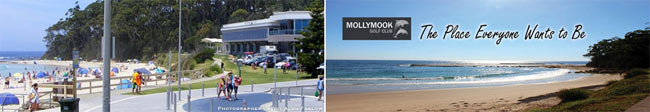 Mollymook Accommodation - Ocean View Motel